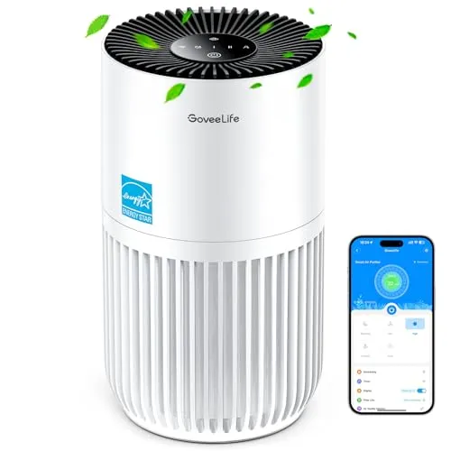 GoveeLife Mini Air Purifier for Bedroom, HEPA Smart Filter Air Purifier with App Alexa Control for Pet Hair, Odors, Pollen,